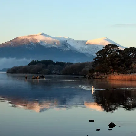 酒店 湖畔酒店 4*
