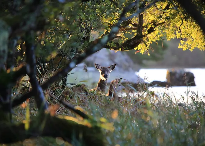 Hotel The Kilclogherane